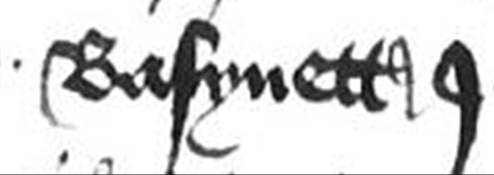A close-up of a document

Description automatically generated
